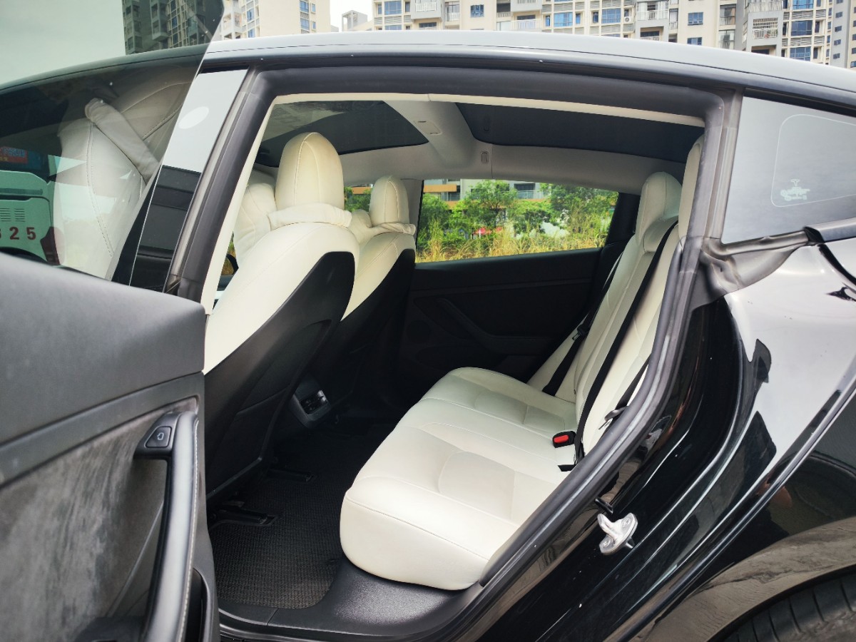 Tesla Model 3 2021 car image #6