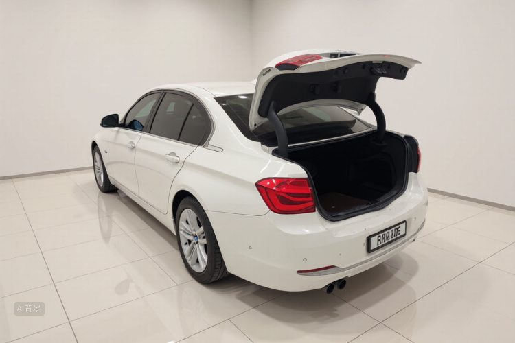 BMW 3 Series 2017 car image #5