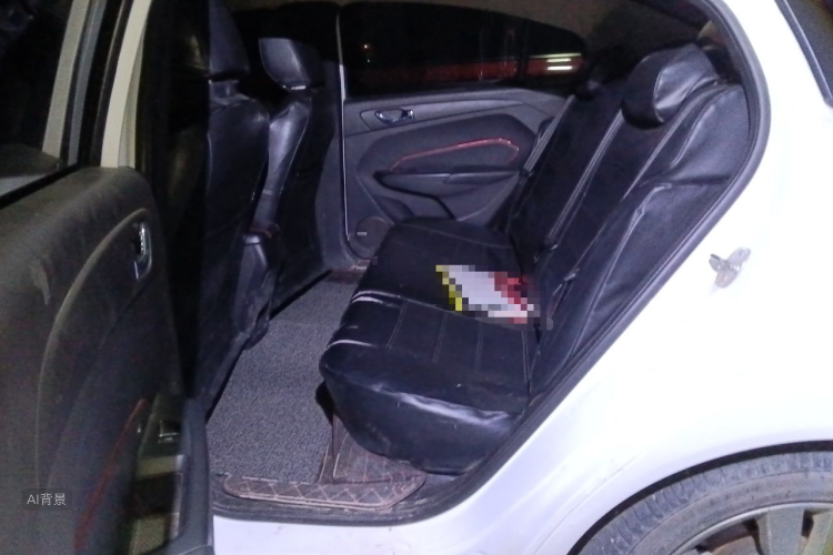 Chery Arrizo 5 2016 car image #19