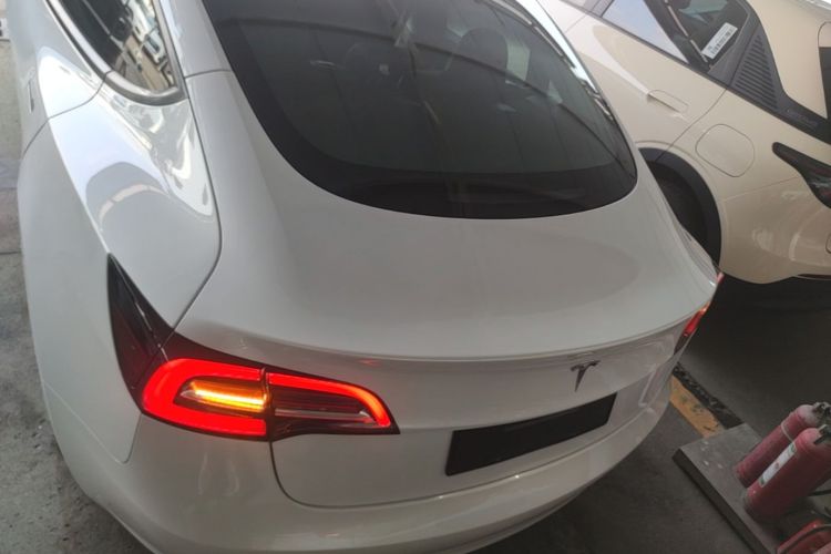 Tesla Model 3 2021 car image #6
