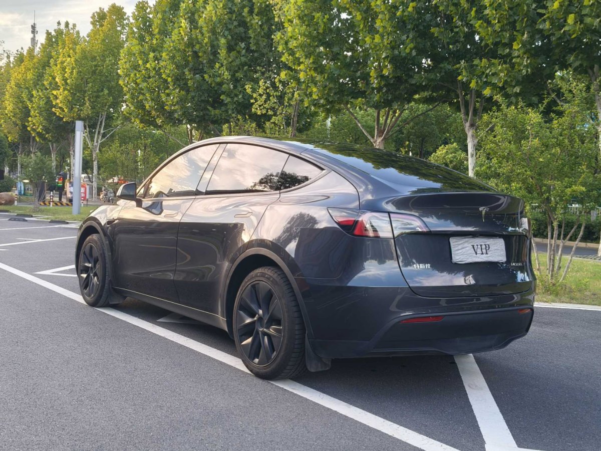 Tesla Model Y 2024 car image #4