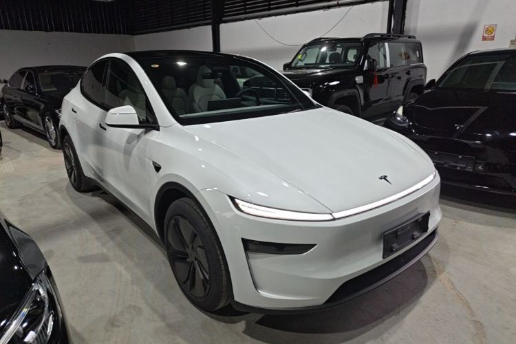 Tesla Model Y 2026 car image #4