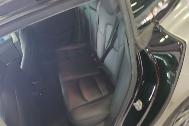 Tesla Model 3 2021 #17 Tesla Model 3 2021 car image #17