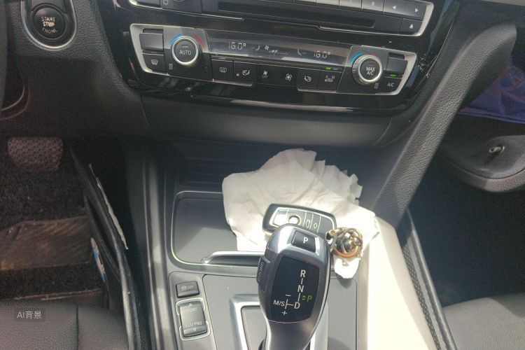 BMW 3 Series 2016 car image #15
