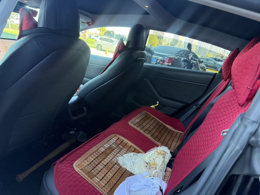 Tesla Model 3 (Imported) 2019 #5 Tesla Model 3 (Imported) 2019 car image #5