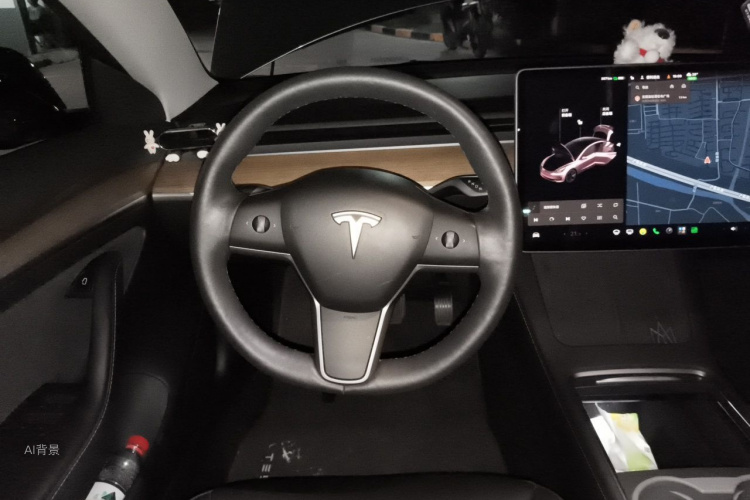 Tesla Model 3 2021 #12 Tesla Model 3 2021 car image #12