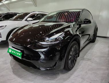 Tesla Model Y 2022 Tesla Model Y 2022 car image