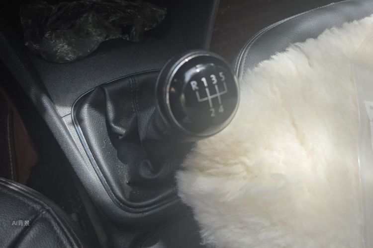 Volkswagen Polo 2015 car image #16