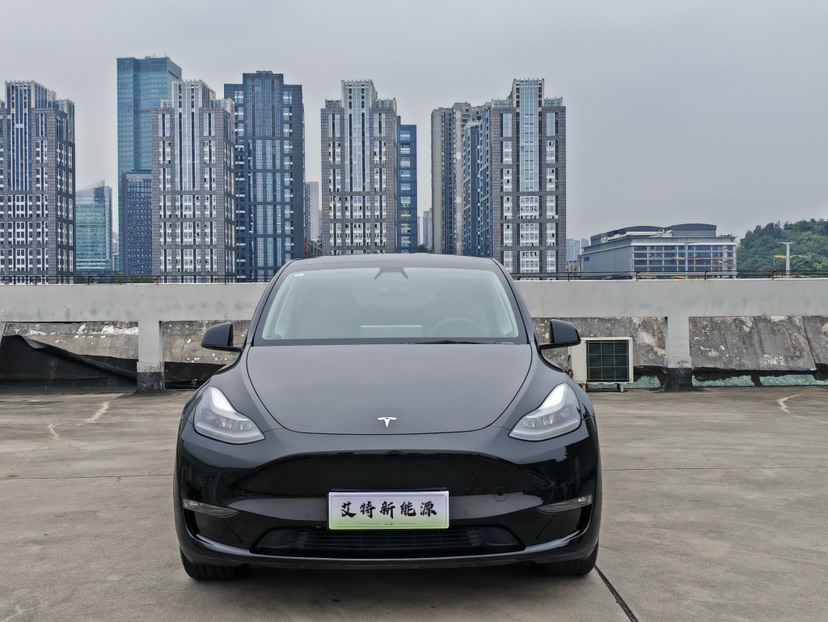Tesla Model Y 2021 #2 Tesla Model Y 2021 car image #2