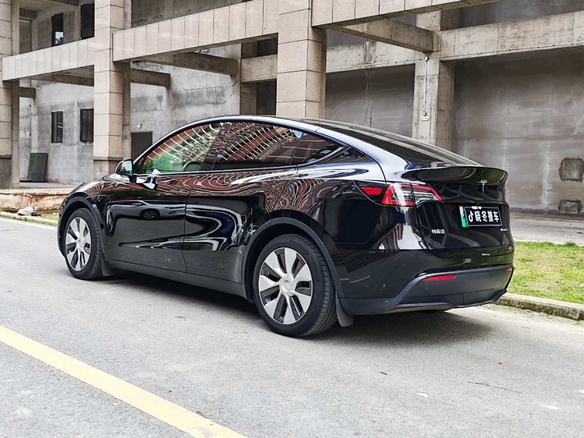 Tesla Model Y 2021 car image #6
