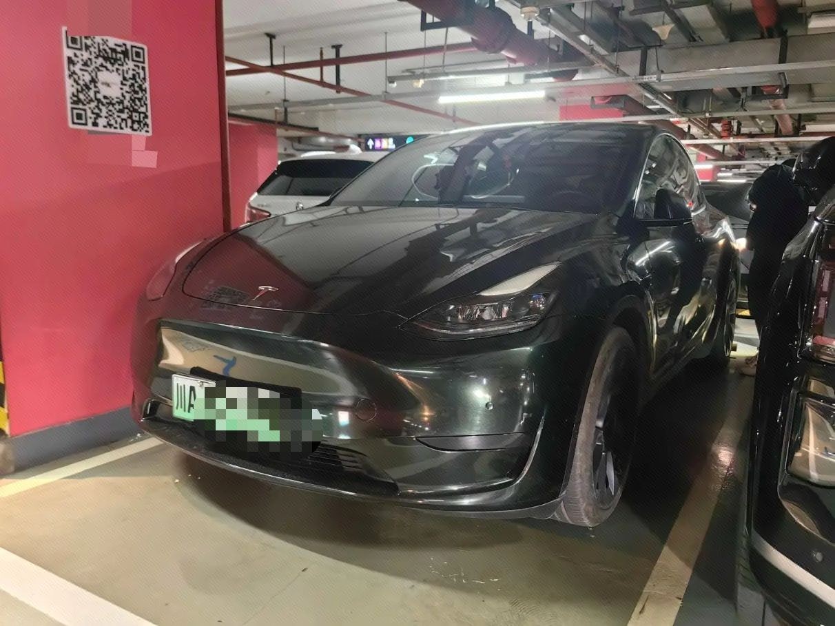 Tesla Model Y 2022 Tesla Model Y 2022 car image