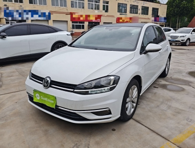 Volkswagen Golf 2019 Volkswagen Golf 2019 car image