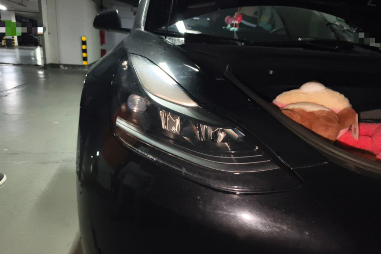 Tesla Model 3 2021 #8 Tesla Model 3 2021 car image #8