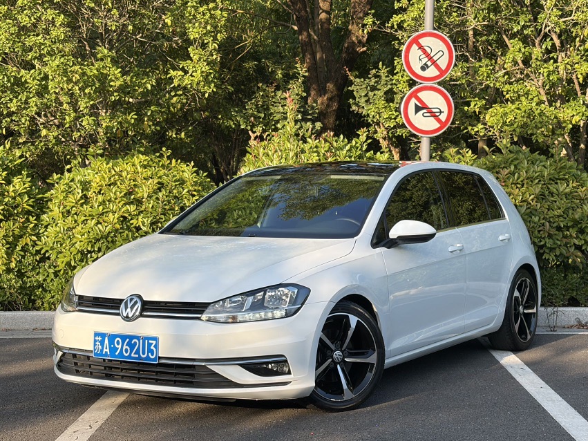 Volkswagen Golf 2019 Volkswagen Golf 2019 car image