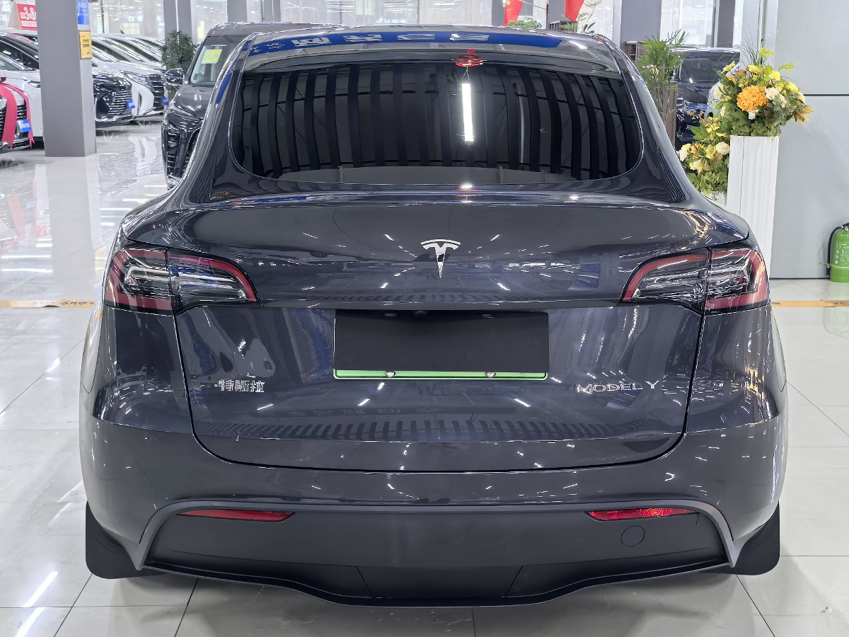 Tesla Model Y 2024 #5 Tesla Model Y 2024 car image #5