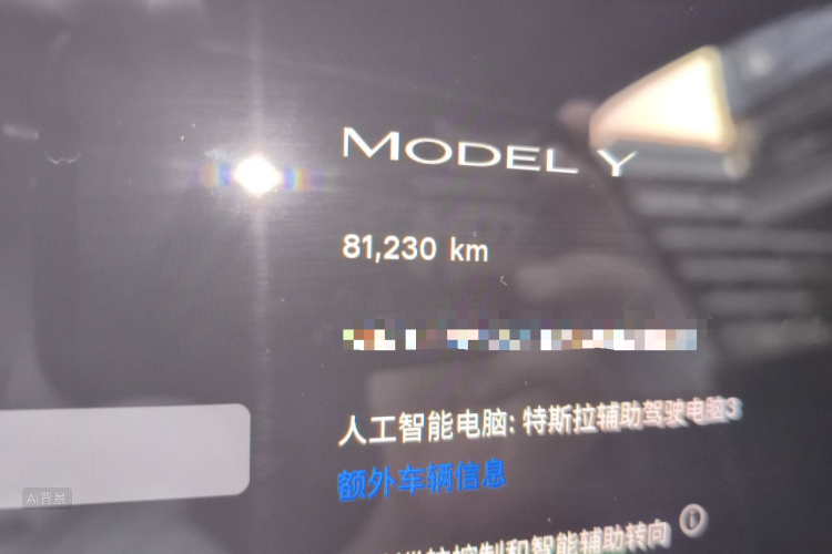 Tesla Model Y 2022 #14 Tesla Model Y 2022 car image #14