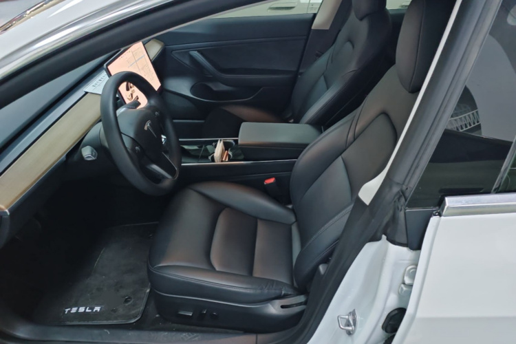 Tesla Model 3 2020 immagine di auto #19