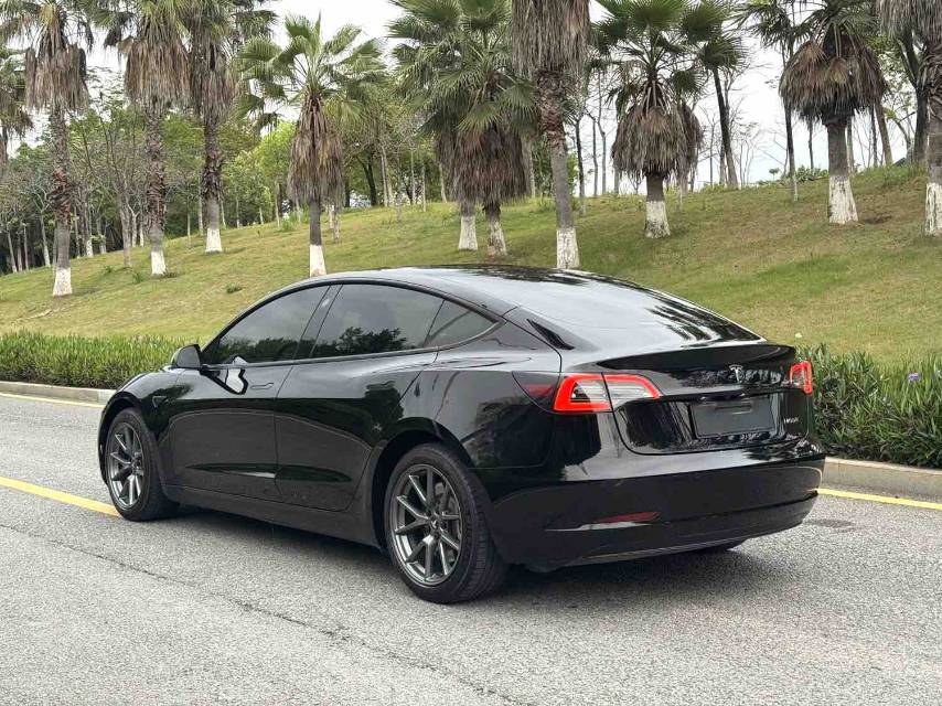 Tesla Model 3 2021 #11 Tesla Model 3 2021 car image #11