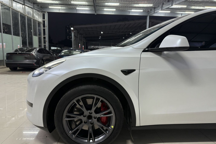 Tesla Model Y 2024 #8 Tesla Model Y 2024 imagen de coche #8