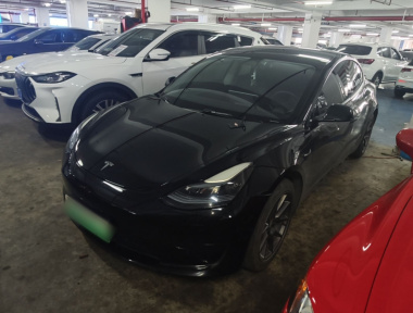 Tesla Model 3 2022 Tesla Model 3 2022 car image