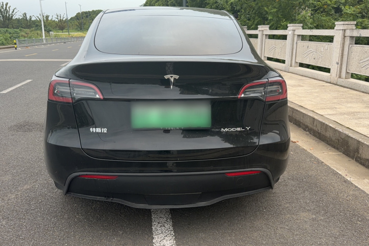 Tesla Model Y 2023 #6 Tesla Model Y 2023 car image #6