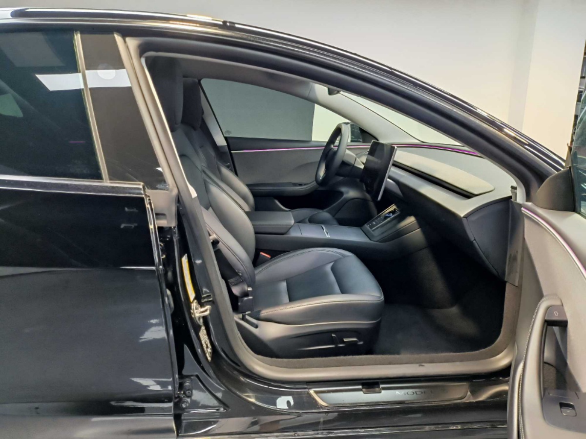 Tesla Model 3 2024 #4 Tesla Model 3 2024 car image #4