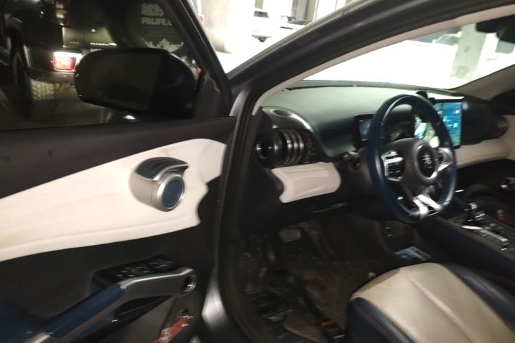 BYD Yuan Plus 2022 car image #16