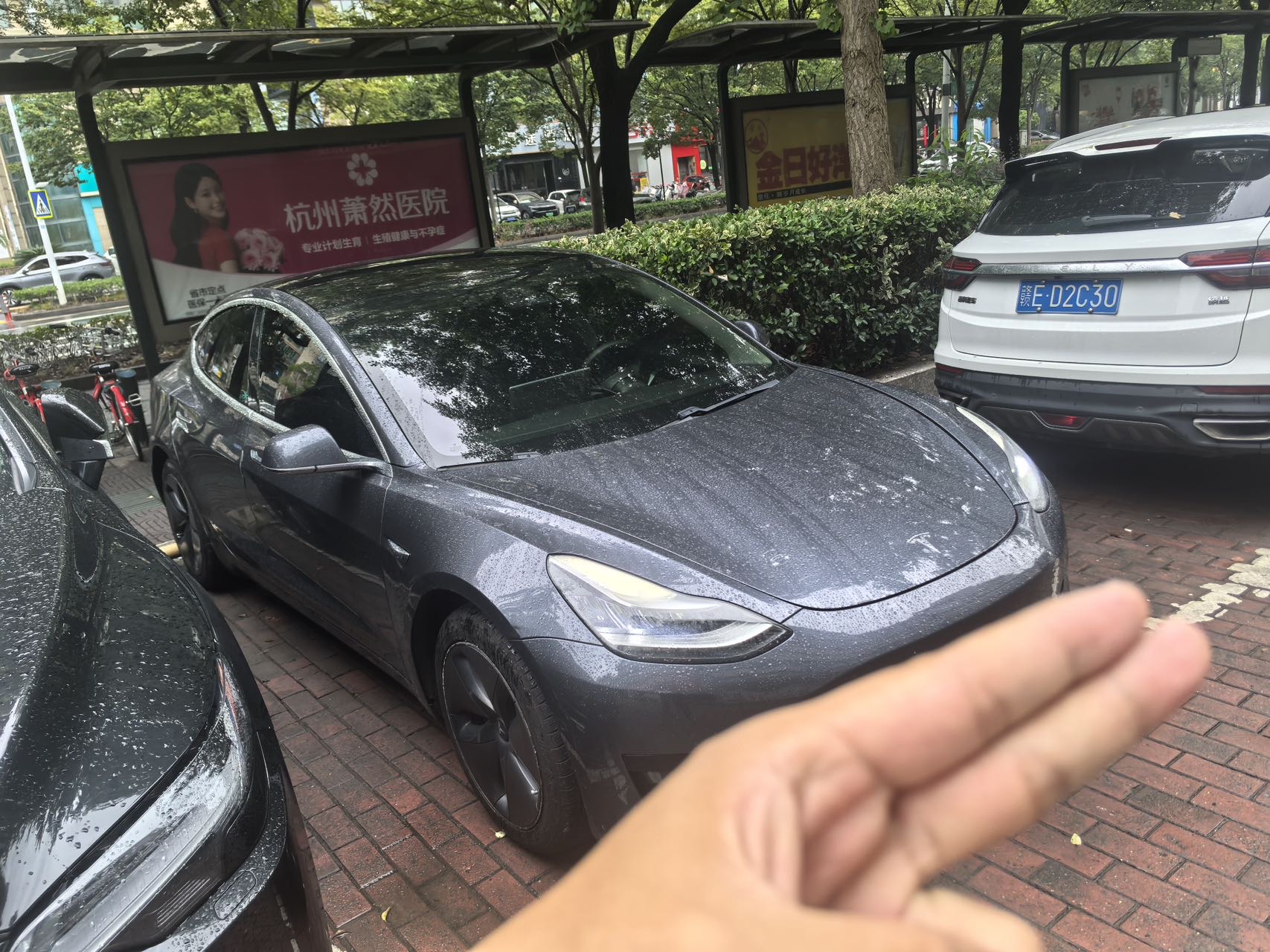 Tesla Model 3 2020 #2 Tesla Model 3 2020 car image #2