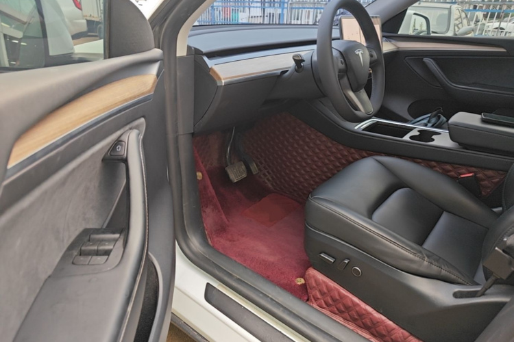 Tesla Model Y 2023 car image #12
