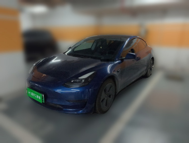 Tesla Model 3 2021 car image 