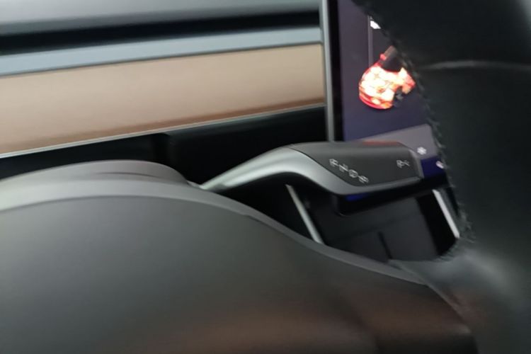 Tesla Model 3 2020 immagine di auto #14