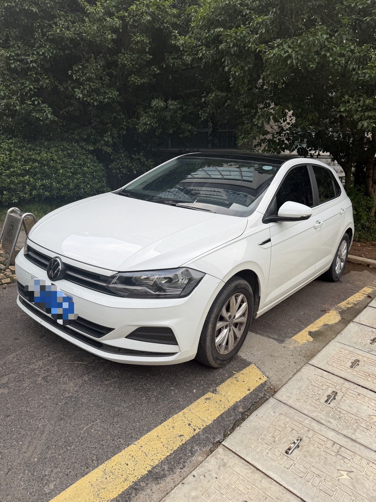 Volkswagen Polo 2023 car image 