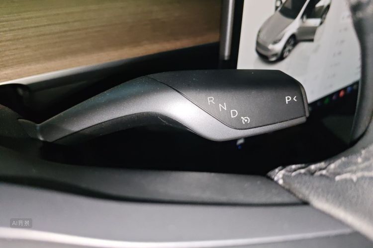 Tesla Model Y 2022 car image #16
