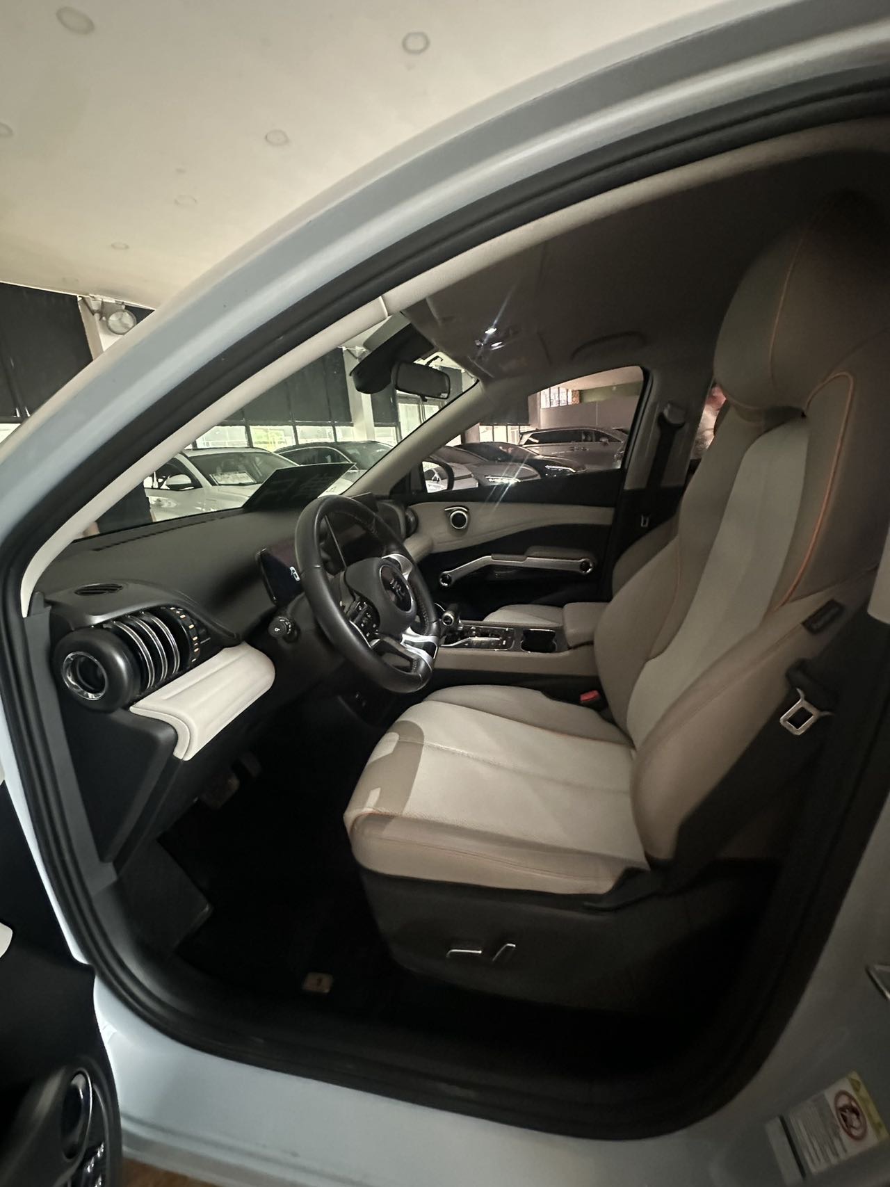 BYD Yuan Plus 2024 car image #9