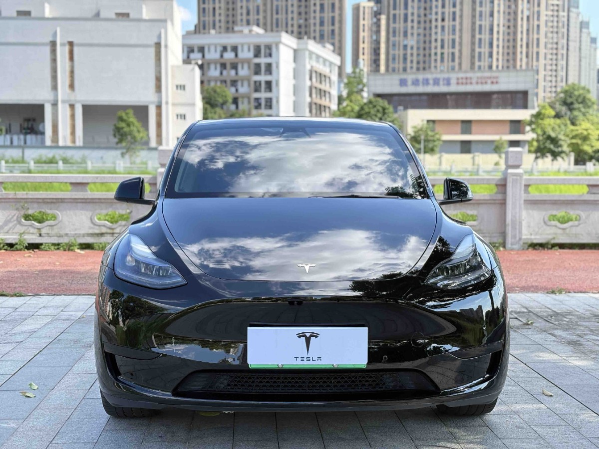 Tesla Model Y 2022 car image #2