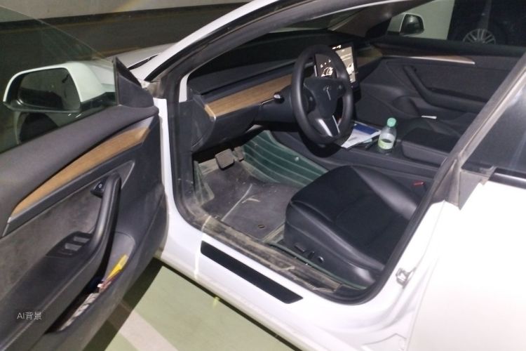 Tesla Model 3 2021 #18 Tesla Model 3 2021 car image #18