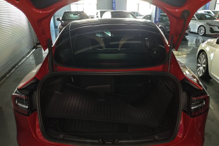 Tesla Model 3 2021 #19 Tesla Model 3 2021 car image #19