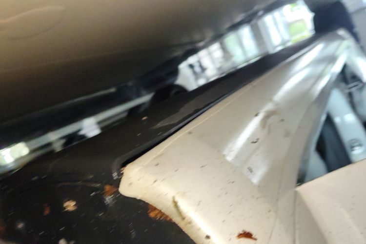 Tesla Model 3 2021 car image #26