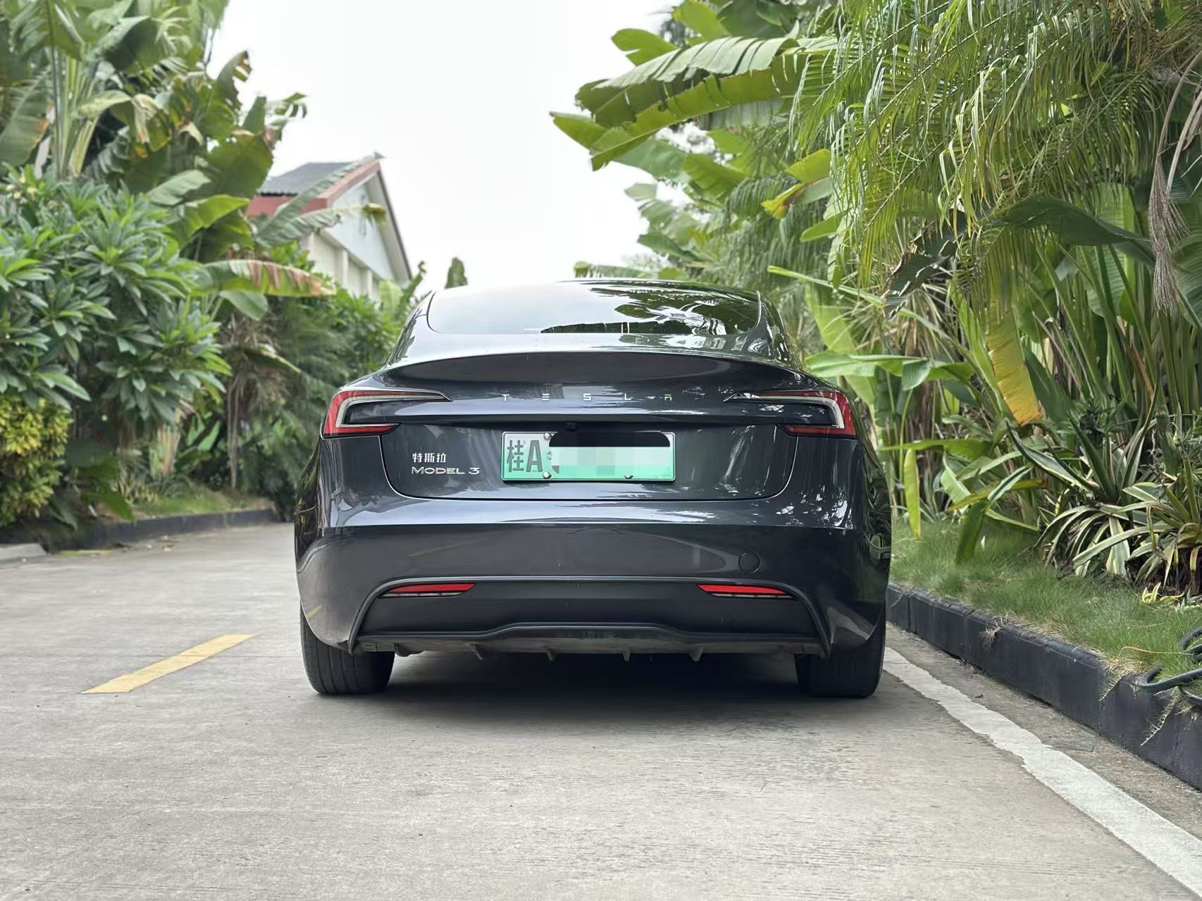 Tesla Model 3 2024 car image #4