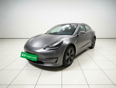 Tesla Model 3 2020 Tesla Model 3 2020 car image