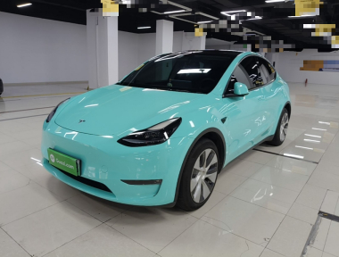 Tesla Model Y 2022 car image 