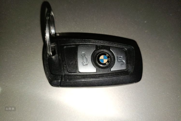 BMW 3 Series 2016 car image #10