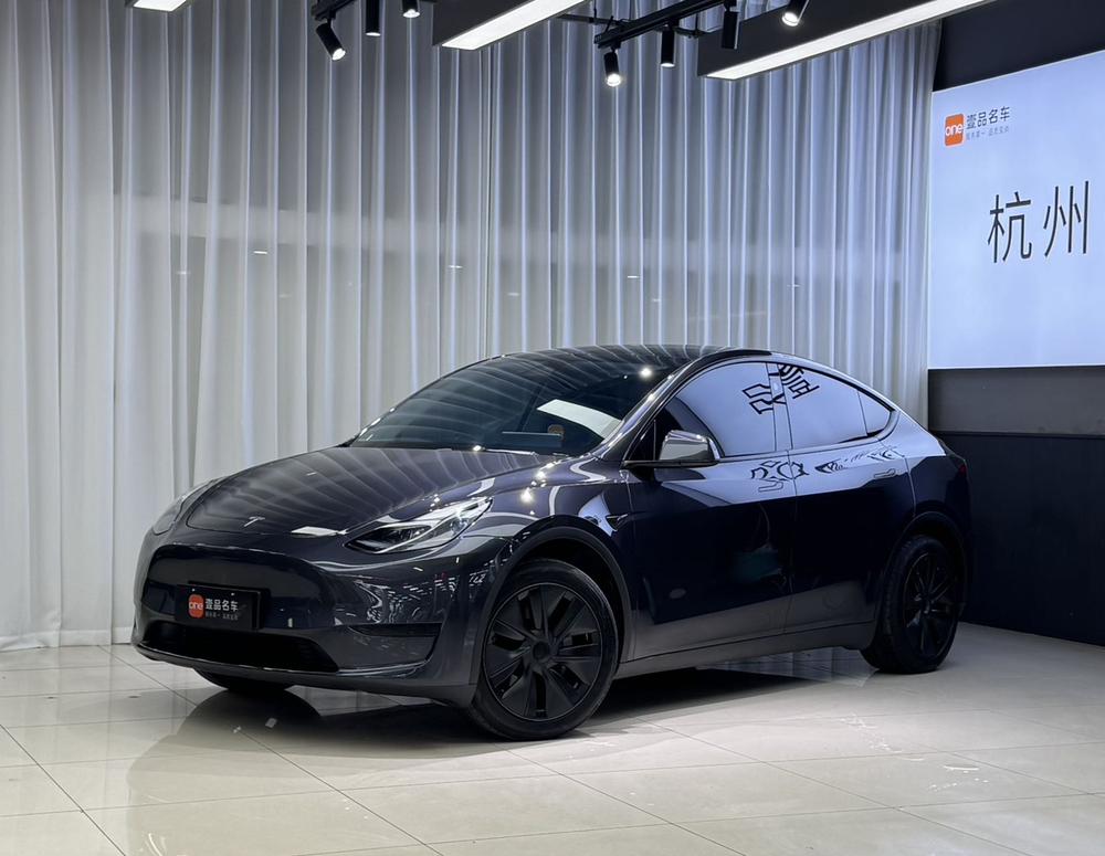 Tesla Model Y 2024 car image 