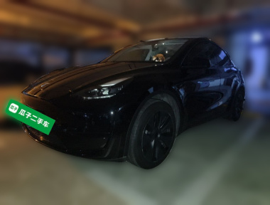 Tesla Model Y 2024 Tesla Model Y 2024 car image