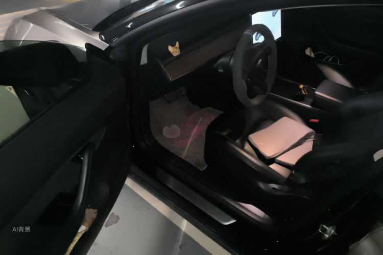 Tesla Model 3 2020 #18 Tesla Model 3 2020 car image #18
