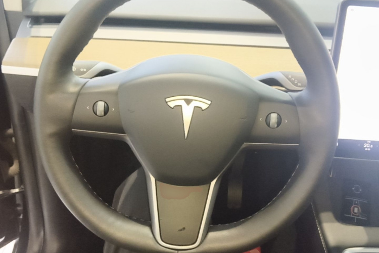 Tesla Model Y 2021 #11 Tesla Model Y 2021 car image #11