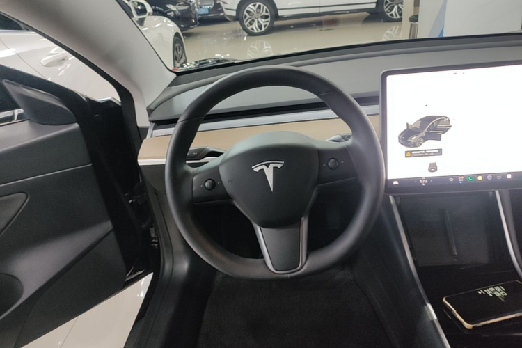 Tesla Model 3 2020 car image #11