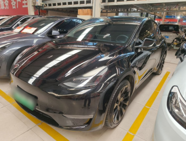 Tesla Model Y 2022 Tesla Model Y 2022 car image