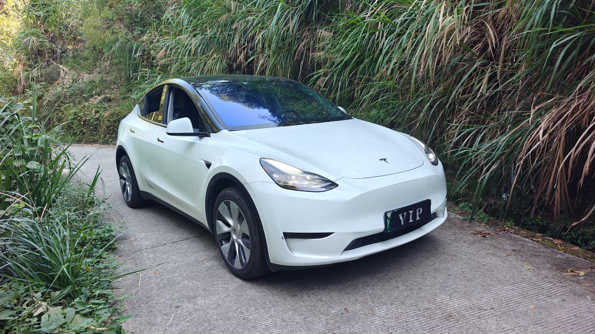 Tesla Model Y 2021 #8 Tesla Model Y 2021 imagen de coche #8
