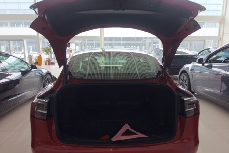 Tesla Model 3 2021 immagine di auto #19